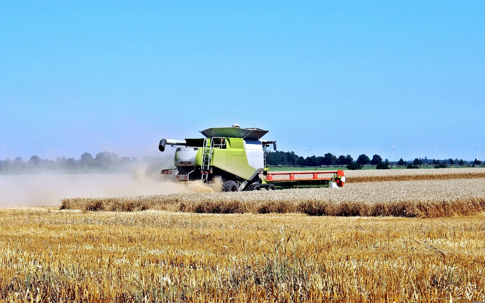 Modern agricultural machinery harvesting wheat in a vast field, representing the mechanized farming that defines the San Joaquin Valley region
